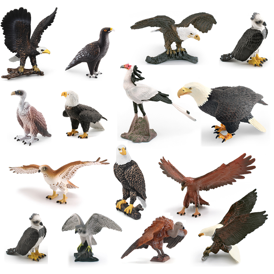 Realistic Wildlife Animal Bird - đánh giá và giá Kids Education In Us