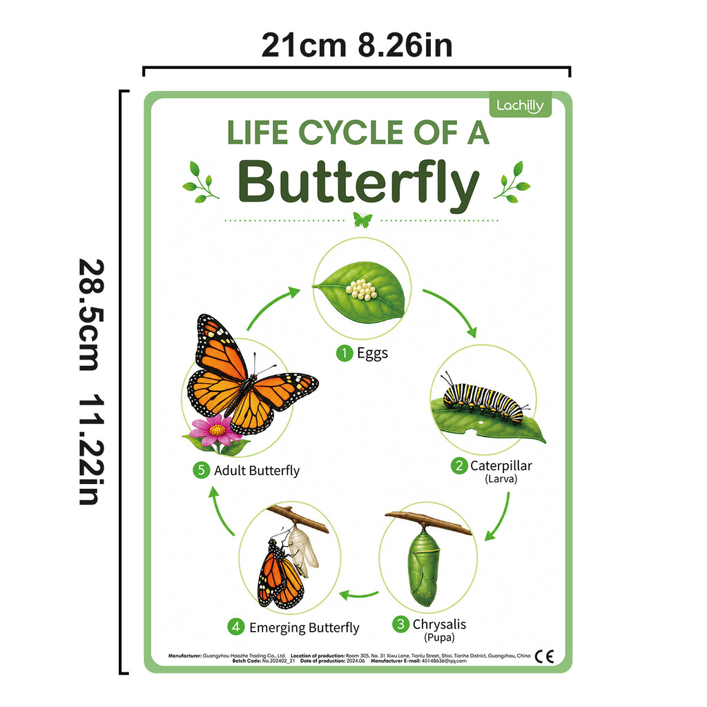 8Pcs Nature Life Cycle Educati - đánh giá và giá Kids Educational Poster