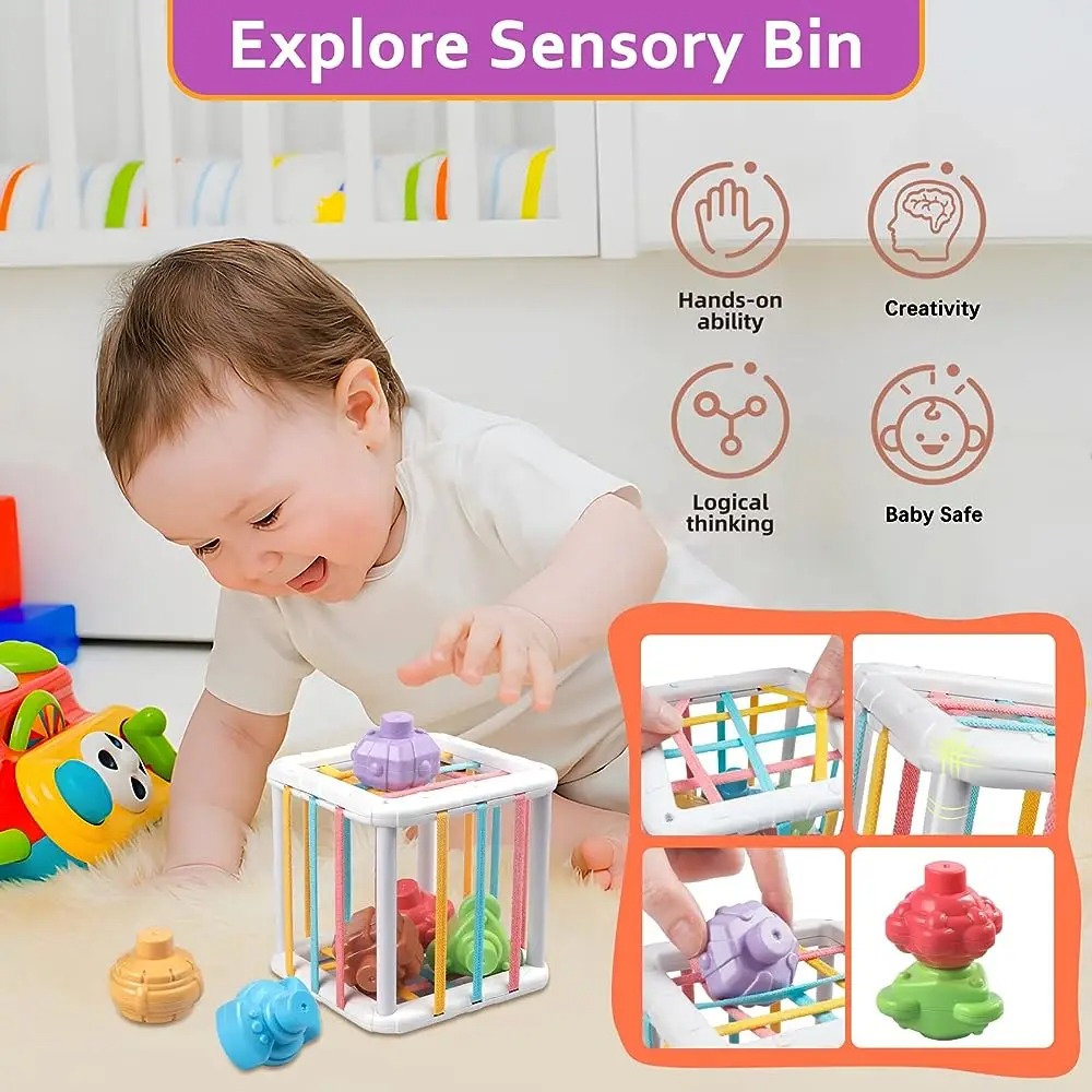 Rainbow Colorful Montessori Sh - đánh giá và giá Kids Educational Gadget