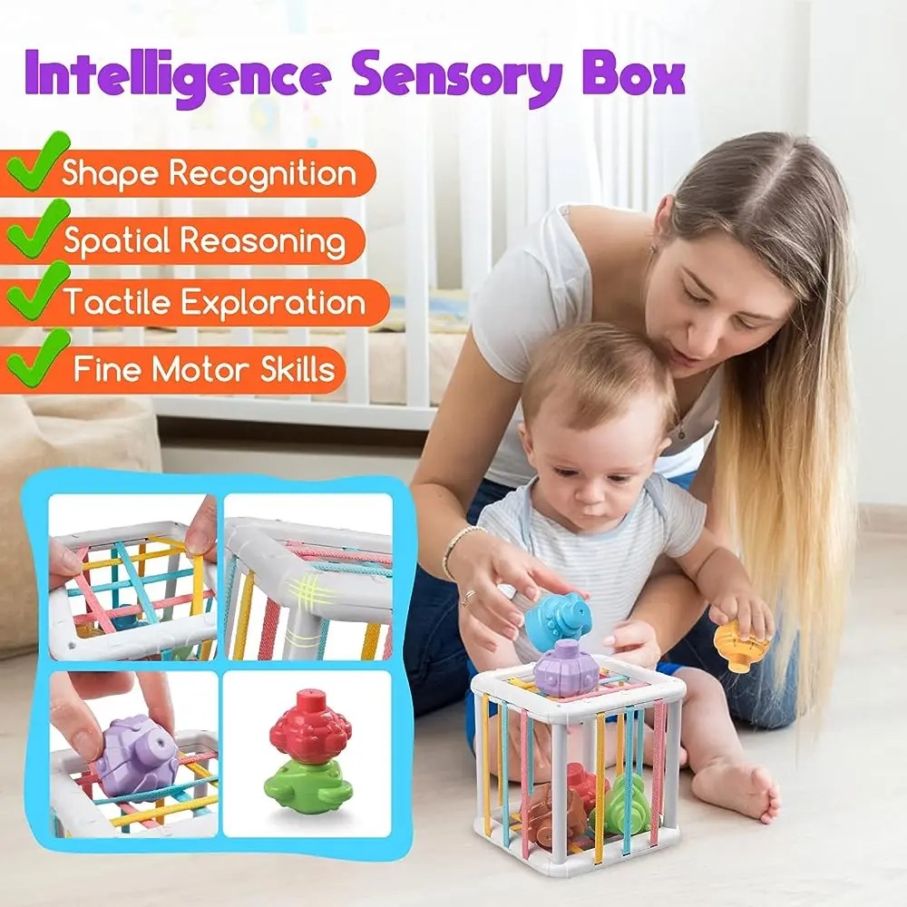 Rainbow Colorful Montessori Sh - đánh giá và giá Kids Educational Gadget