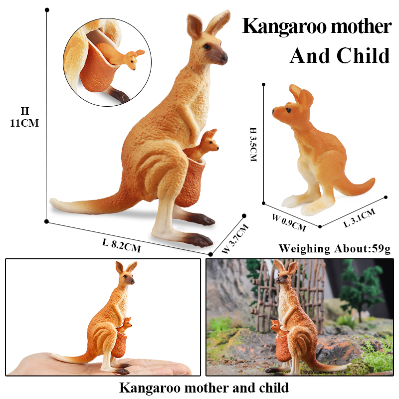 Oenux Classic Australian Wild  - đánh giá và giá Kangaroo Kids Education