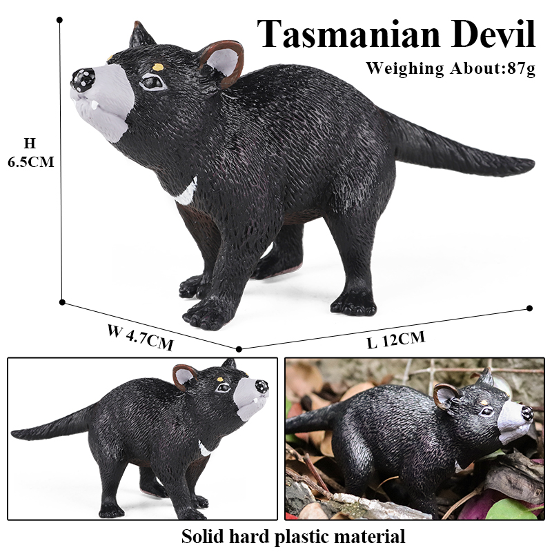 Oenux Classic Australian Wild  - đánh giá và giá Kangaroo Kids Education