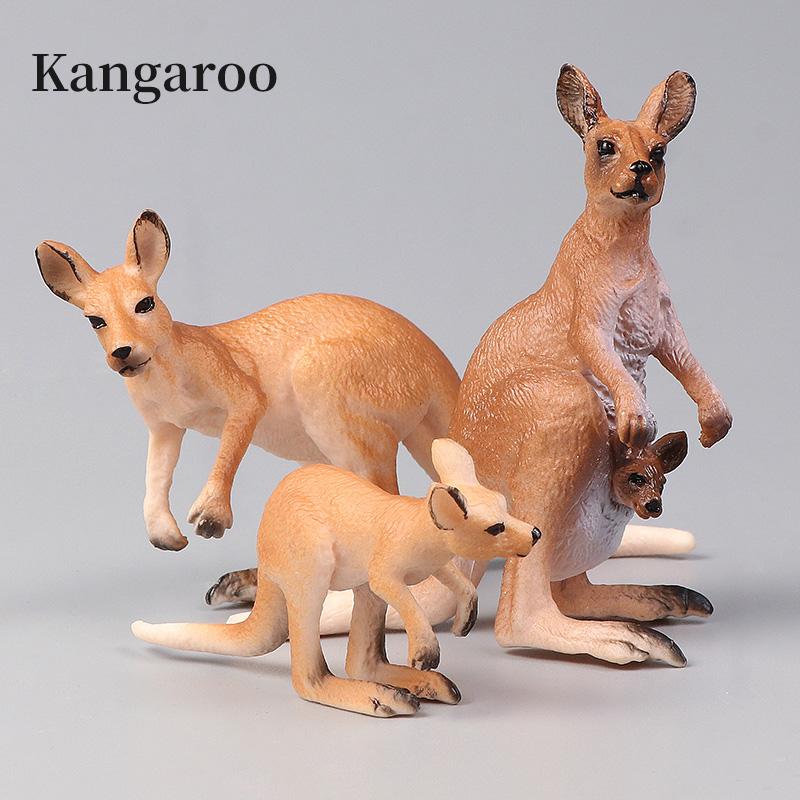 New Wildlife World Kangaroo Se - đánh giá và giá Kangaroo Kids Education